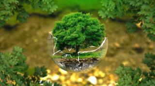 Еко-прогноз на 2020 рік: чого нам чекати?