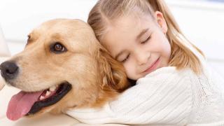 Вчені дослідили вплив тварин на людей під час карантину і дійшли несподіваних висновків 