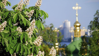 Хрещатик залишиться без головного символу столиці.