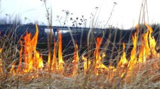 Чому не можна спалювати суху траву: наслідки та покарання