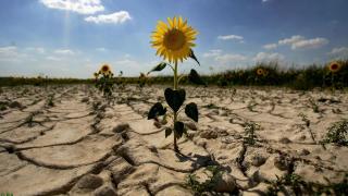 Українцям можуть обмежити використання води через аномально теплу зиму: подробиці