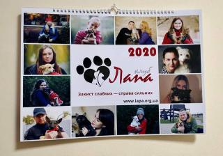 Бездомні тварини, котрих прихистили рівняни – стали моделями календаря 2020