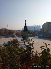 ВСТАНОВЛЕННЯ НОВОРІЧНОЇ ЯЛИНКИ