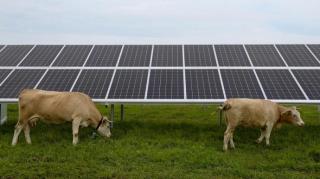 22 тисячі українських родин встановили домашні сонячні електростанції