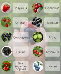 Не брусника і не клюква: правильні назви улюблених ягід українською!