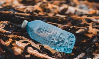 Учені створили пластик, який розкладається за 12 місяців