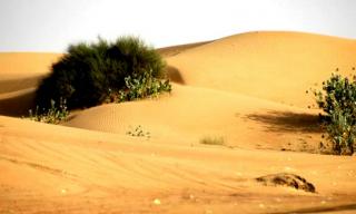 Зміна клімату – ризик для здоров`я людей